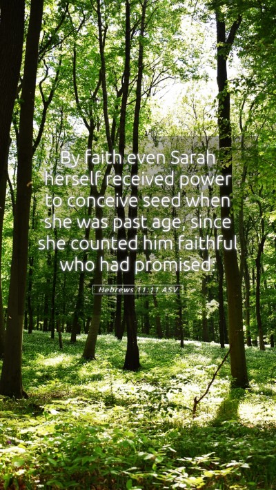 Picture 05 - Hebrews 11:11 ASV Mobile Phone Wallpaper - By faith even Sarah herself received power to - Mobile Bible Verse Wallpaper