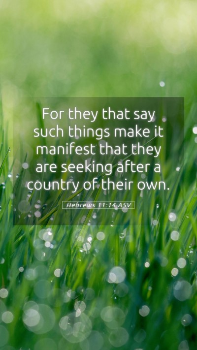 Picture 05 - Hebrews 11:14 ASV Mobile Phone Wallpaper - For they that say such things make it manifest - Mobile Bible Verse Wallpaper