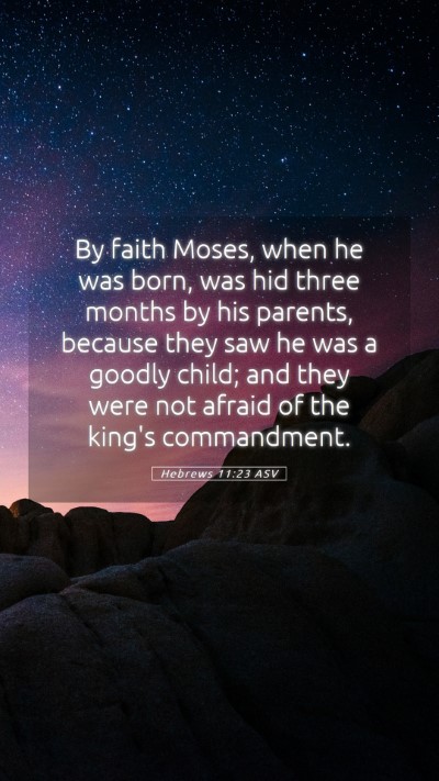 Picture 05 - Hebrews 11:23 ASV Mobile Phone Wallpaper - By faith Moses, when he was born, was hid three - Mobile Bible Verse Wallpaper