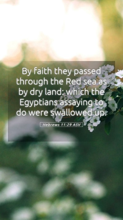 Picture 05 - Hebrews 11:29 ASV Mobile Phone Wallpaper - By faith they passed through the Red sea as by - Mobile Bible Verse Wallpaper