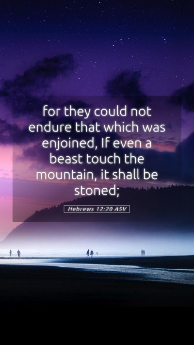 Picture 05 - Hebrews 12:20 ASV Mobile Phone Wallpaper - for they could not endure that which was - Mobile Bible Verse Wallpaper