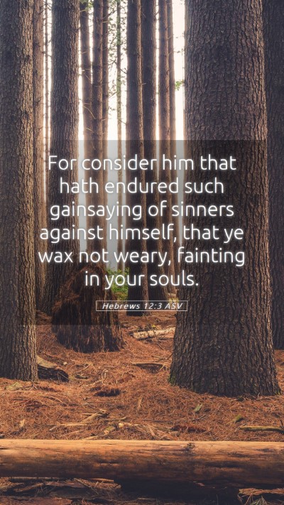 Picture 05 - Hebrews 12:3 ASV Mobile Phone Wallpaper - For consider him that hath endured such - Mobile Bible Verse Wallpaper