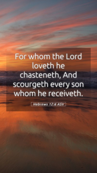 Picture 05 - Hebrews 12:6 ASV Mobile Phone Wallpaper - For whom the Lord loveth he chasteneth, And - Mobile Bible Verse Wallpaper