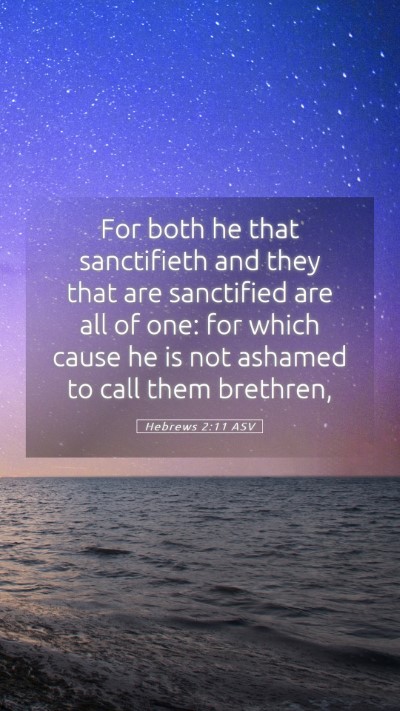 Picture 05 - Hebrews 2:11 ASV Mobile Phone Wallpaper - For both he that sanctifieth and they that are - Mobile Bible Verse Wallpaper