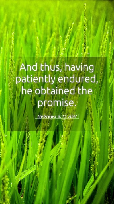 Picture 05 - Hebrews 6:15 ASV Mobile Phone Wallpaper - And thus, having patiently endured, he obtained - Mobile Bible Verse Wallpaper