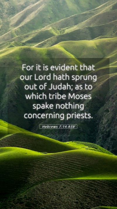 Picture 05 - Hebrews 7:14 ASV Mobile Phone Wallpaper - For it is evident that our Lord hath sprung out - Mobile Bible Verse Wallpaper