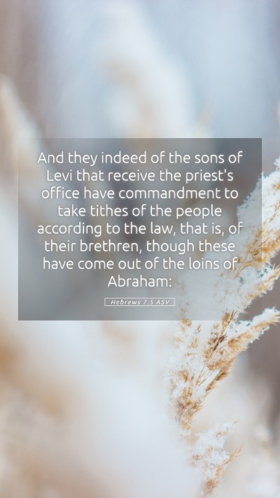 Picture 05 - Hebrews 7:5 ASV Mobile Phone Wallpaper - And they indeed of the sons of Levi that receive - Mobile Bible Verse Wallpaper