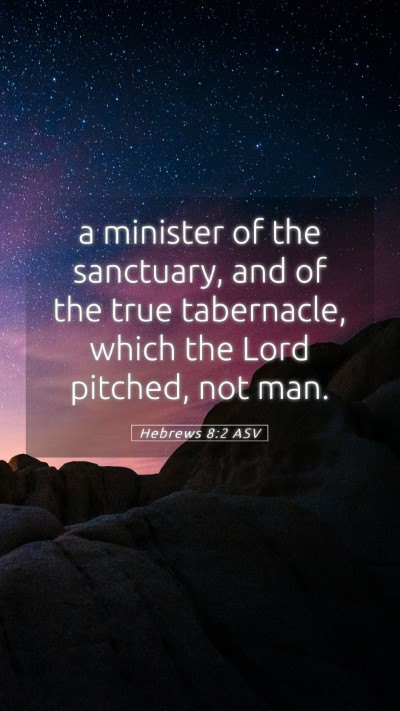 Picture 05 - Hebrews 8:2 ASV Mobile Phone Wallpaper - a minister of the sanctuary, and of the true - Mobile Bible Verse Wallpaper