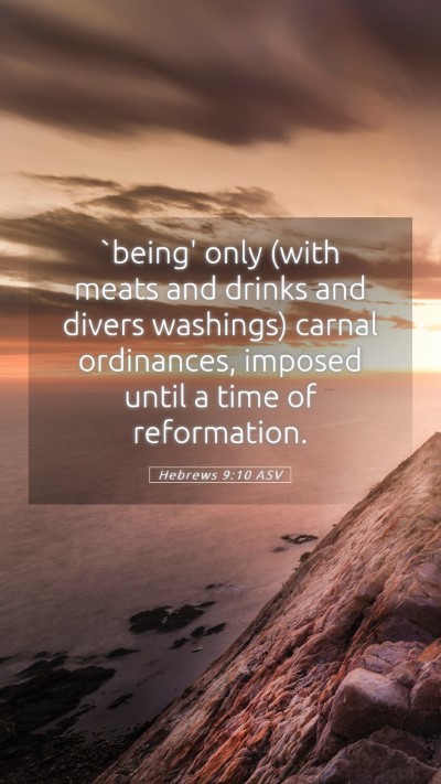 Picture 05 - Hebrews 9:10 ASV Mobile Phone Wallpaper - `being' only (with meats and drinks and divers - Mobile Bible Verse Wallpaper