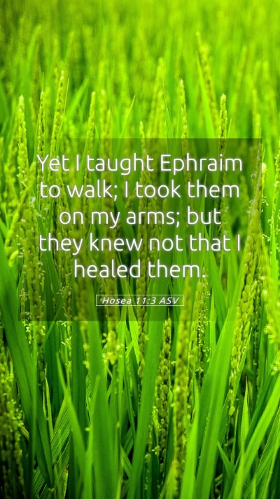 Picture 05 - Hosea 11:3 ASV Mobile Phone Wallpaper - Yet I taught Ephraim to walk; I took them on my - Mobile Bible Verse Wallpaper