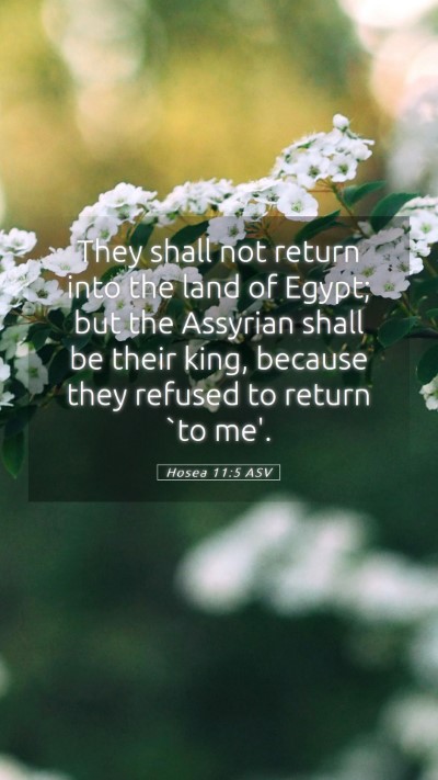 Picture 05 - Hosea 11:5 ASV Mobile Phone Wallpaper - They shall not return into the land of Egypt; but - Mobile Bible Verse Wallpaper