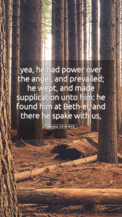 Picture 05 - Hosea 12:4 ASV Mobile Phone Wallpaper - yea, he had power over the angel, and prevailed; - Mobile Bible Verse Wallpaper