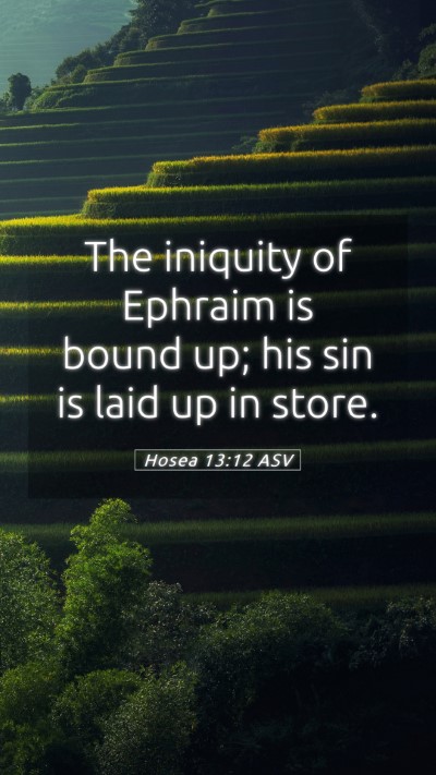 Picture 05 - Hosea 13:12 ASV Mobile Phone Wallpaper - The iniquity of Ephraim is bound up; his sin is - Mobile Bible Verse Wallpaper