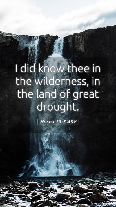 Picture 05 - Hosea 13:5 ASV Mobile Phone Wallpaper - I did know thee in the wilderness, in the land of - Mobile Bible Verse Wallpaper