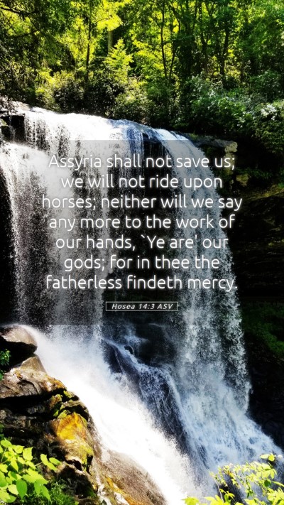 Picture 05 - Hosea 14:3 ASV Mobile Phone Wallpaper - Assyria shall not save us; we will not ride upon - Mobile Bible Verse Wallpaper