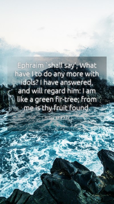 Picture 05 - Hosea 14:8 ASV Mobile Phone Wallpaper - Ephraim `shall say', What have I to do any more - Mobile Bible Verse Wallpaper