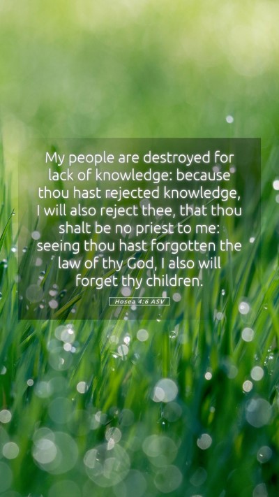 Picture 05 - Hosea 4:6 ASV Mobile Phone Wallpaper - My people are destroyed for lack of knowledge: - Mobile Bible Verse Wallpaper