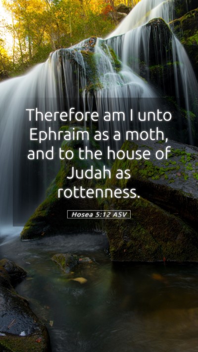 Picture 05 - Hosea 5:12 ASV Mobile Phone Wallpaper - Therefore am I unto Ephraim as a moth, and to the - Mobile Bible Verse Wallpaper