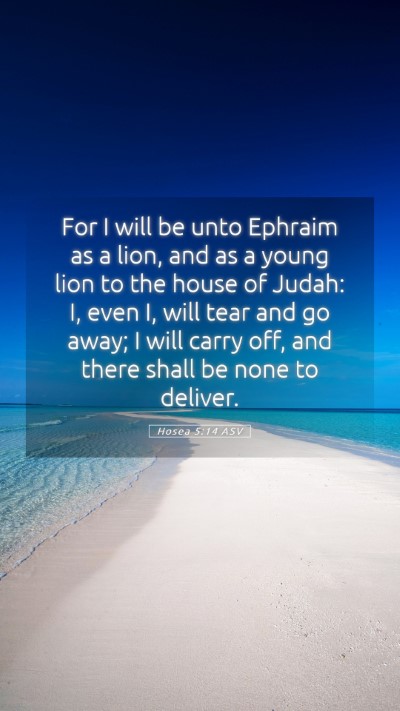Picture 05 - Hosea 5:14 ASV Mobile Phone Wallpaper - For I will be unto Ephraim as a lion, and as a - Mobile Bible Verse Wallpaper