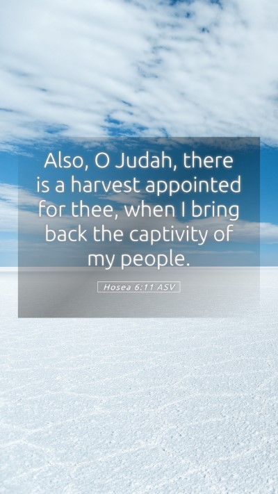 Picture 05 - Hosea 6:11 ASV Mobile Phone Wallpaper - Also, O Judah, there is a harvest appointed for - Mobile Bible Verse Wallpaper