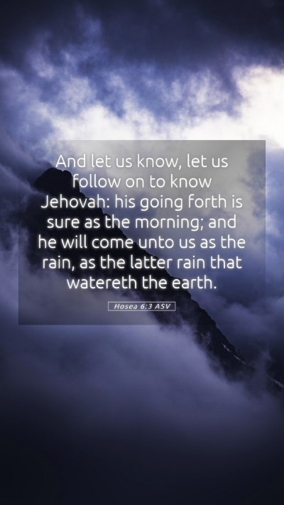 Picture 05 - Hosea 6:3 ASV Mobile Phone Wallpaper - And let us know, let us follow on to know - Mobile Bible Verse Wallpaper