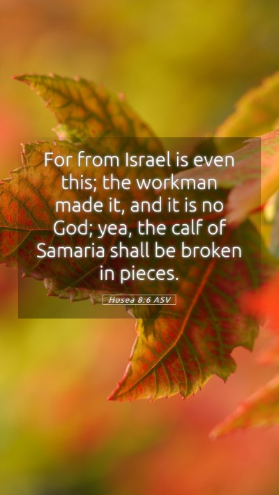 Picture 05 - Hosea 8:6 ASV Mobile Phone Wallpaper - For from Israel is even this; the workman made - Mobile Bible Verse Wallpaper