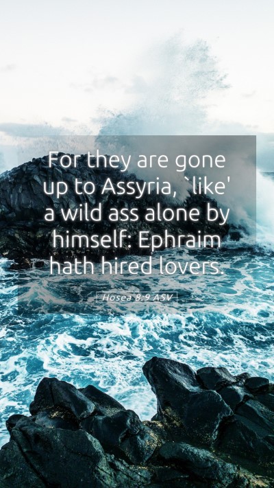 Picture 05 - Hosea 8:9 ASV Mobile Phone Wallpaper - For they are gone up to Assyria, `like' a wild - Mobile Bible Verse Wallpaper