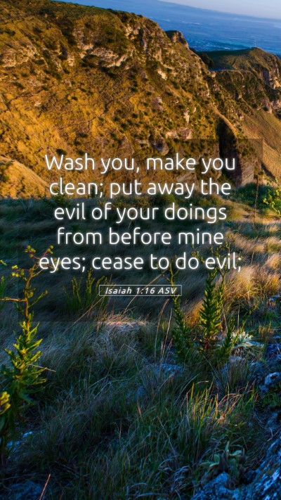 Picture 05 - Isaiah 1:16 ASV Mobile Phone Wallpaper - Wash you, make you clean; put away the evil of - Mobile Bible Verse Wallpaper