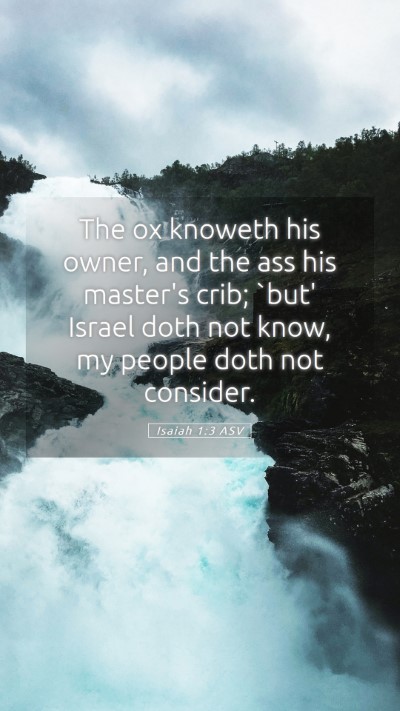 Picture 05 - Isaiah 1:3 ASV Mobile Phone Wallpaper - The ox knoweth his owner, and the ass his - Mobile Bible Verse Wallpaper