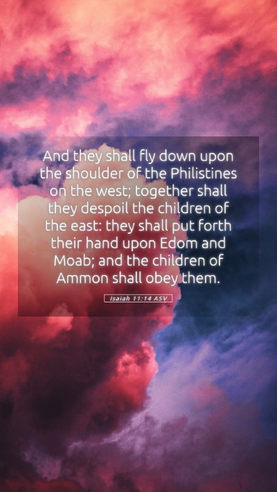 Picture 05 - Isaiah 11:14 ASV Mobile Phone Wallpaper - And they shall fly down upon the shoulder of the - Mobile Bible Verse Wallpaper