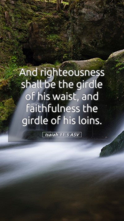 Picture 05 - Isaiah 11:5 ASV Mobile Phone Wallpaper - And righteousness shall be the girdle of his - Mobile Bible Verse Wallpaper
