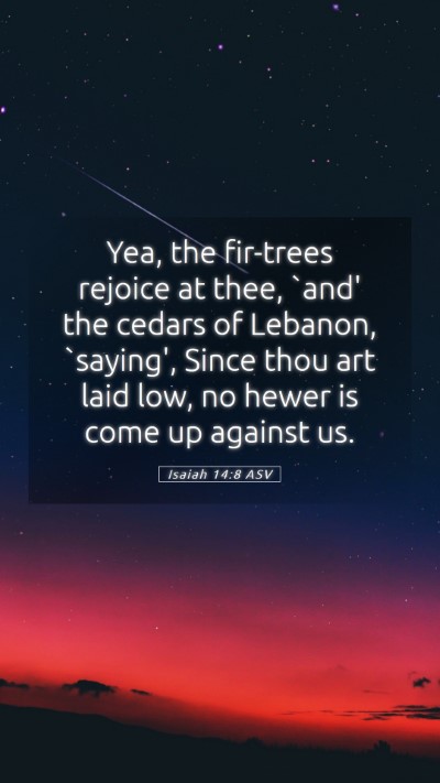 Picture 05 - Isaiah 14:8 ASV Mobile Phone Wallpaper - Yea, the fir-trees rejoice at thee, `and' the - Mobile Bible Verse Wallpaper