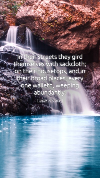 Picture 05 - Isaiah 15:3 ASV Mobile Phone Wallpaper - In their streets they gird themselves with - Mobile Bible Verse Wallpaper