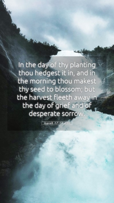 Picture 05 - Isaiah 17:11 ASV Mobile Phone Wallpaper - In the day of thy planting thou hedgest it in, - Mobile Bible Verse Wallpaper