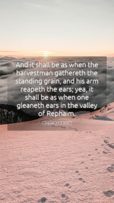 Picture 05 - Isaiah 17:5 ASV Mobile Phone Wallpaper - And it shall be as when the harvestman gathereth - Mobile Bible Verse Wallpaper