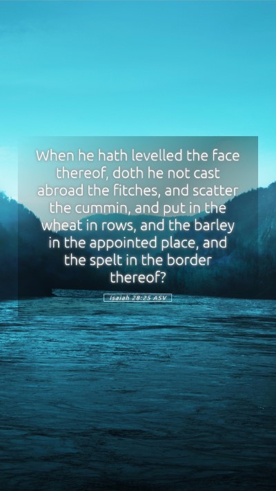 Picture 05 - Isaiah 28:25 ASV Mobile Phone Wallpaper - When he hath levelled the face thereof, doth he - Mobile Bible Verse Wallpaper
