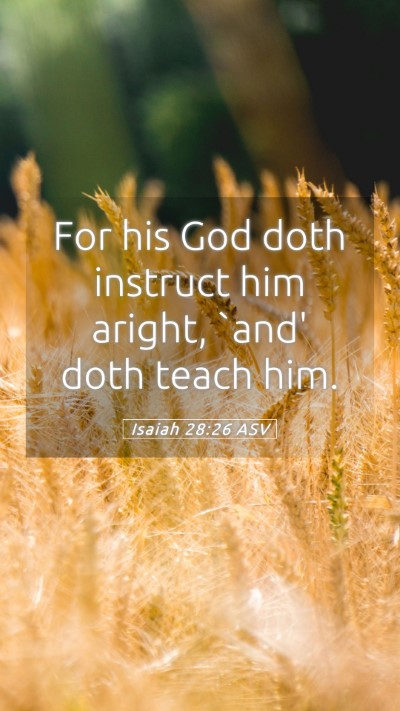 Picture 05 - Isaiah 28:26 ASV Mobile Phone Wallpaper - For his God doth instruct him aright, `and' doth - Mobile Bible Verse Wallpaper