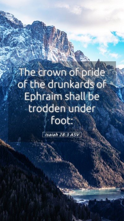 Picture 05 - Isaiah 28:3 ASV Mobile Phone Wallpaper - The crown of pride of the drunkards of Ephraim - Mobile Bible Verse Wallpaper