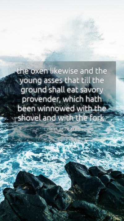 Picture 05 - Isaiah 30:24 ASV Mobile Phone Wallpaper - the oxen likewise and the young asses that till - Mobile Bible Verse Wallpaper