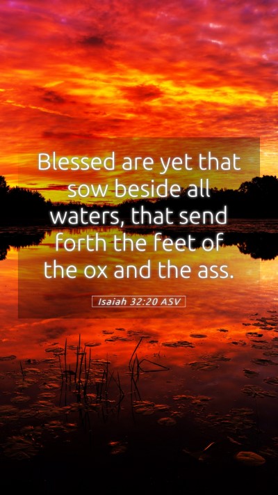 Picture 05 - Isaiah 32:20 ASV Mobile Phone Wallpaper - Blessed are yet that sow beside all waters, that - Mobile Bible Verse Wallpaper