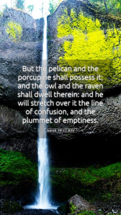 Picture 05 - Isaiah 34:11 ASV Mobile Phone Wallpaper - But the pelican and the porcupine shall possess - Mobile Bible Verse Wallpaper