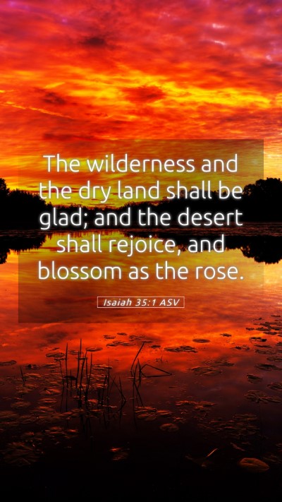 Picture 05 - Isaiah 35:1 ASV Mobile Phone Wallpaper - The wilderness and the dry land shall be glad; - Mobile Bible Verse Wallpaper