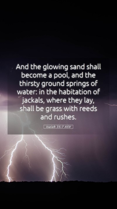 Picture 05 - Isaiah 35:7 ASV Mobile Phone Wallpaper - And the glowing sand shall become a pool, and the - Mobile Bible Verse Wallpaper