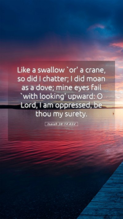 Picture 05 - Isaiah 38:14 ASV Mobile Phone Wallpaper - Like a swallow `or' a crane, so did I chatter; I - Mobile Bible Verse Wallpaper