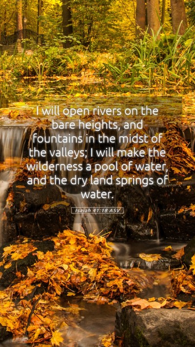 Picture 05 - Isaiah 41:18 ASV Mobile Phone Wallpaper - I will open rivers on the bare heights, and - Mobile Bible Verse Wallpaper