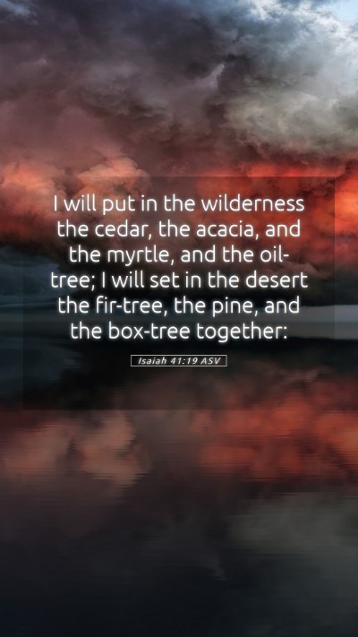 Picture 05 - Isaiah 41:19 ASV Mobile Phone Wallpaper - I will put in the wilderness the cedar, the - Mobile Bible Verse Wallpaper
