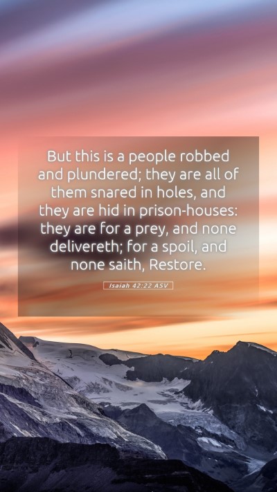 Picture 05 - Isaiah 42:22 ASV Mobile Phone Wallpaper - But this is a people robbed and plundered; they - Mobile Bible Verse Wallpaper