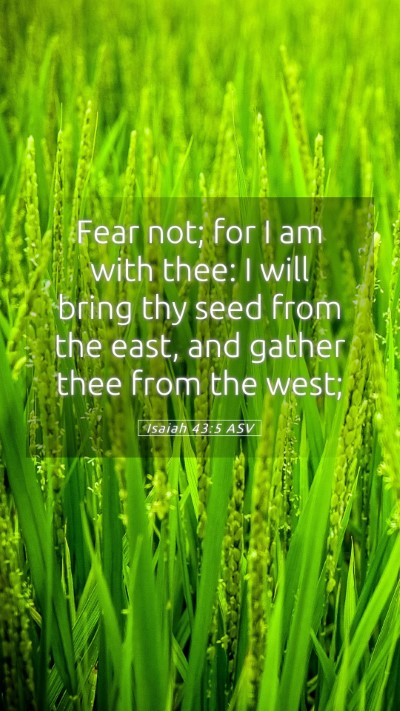 Picture 05 - Isaiah 43:5 ASV Mobile Phone Wallpaper - Fear not; for I am with thee: I will bring thy - Mobile Bible Verse Wallpaper