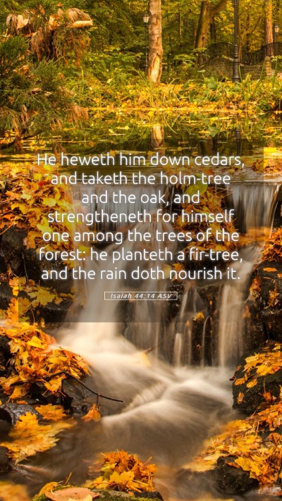 Picture 05 - Isaiah 44:14 ASV Mobile Phone Wallpaper - He heweth him down cedars, and taketh the - Mobile Bible Verse Wallpaper