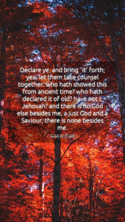 Picture 05 - Isaiah 45:21 ASV Mobile Phone Wallpaper - Declare ye, and bring `it' forth; yea, let them - Mobile Bible Verse Wallpaper